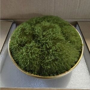 Decorative Green Moss Bowl